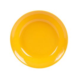 Mustard Yellow porcelain...