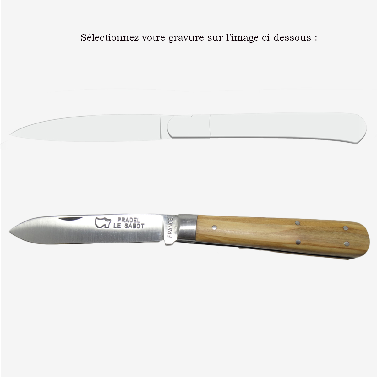 Pocket knife Le Pradel Olivewood